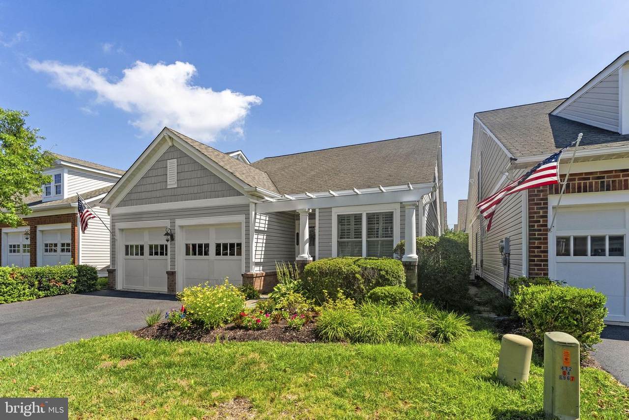 8404 Mountain Larkspur - Photo 1