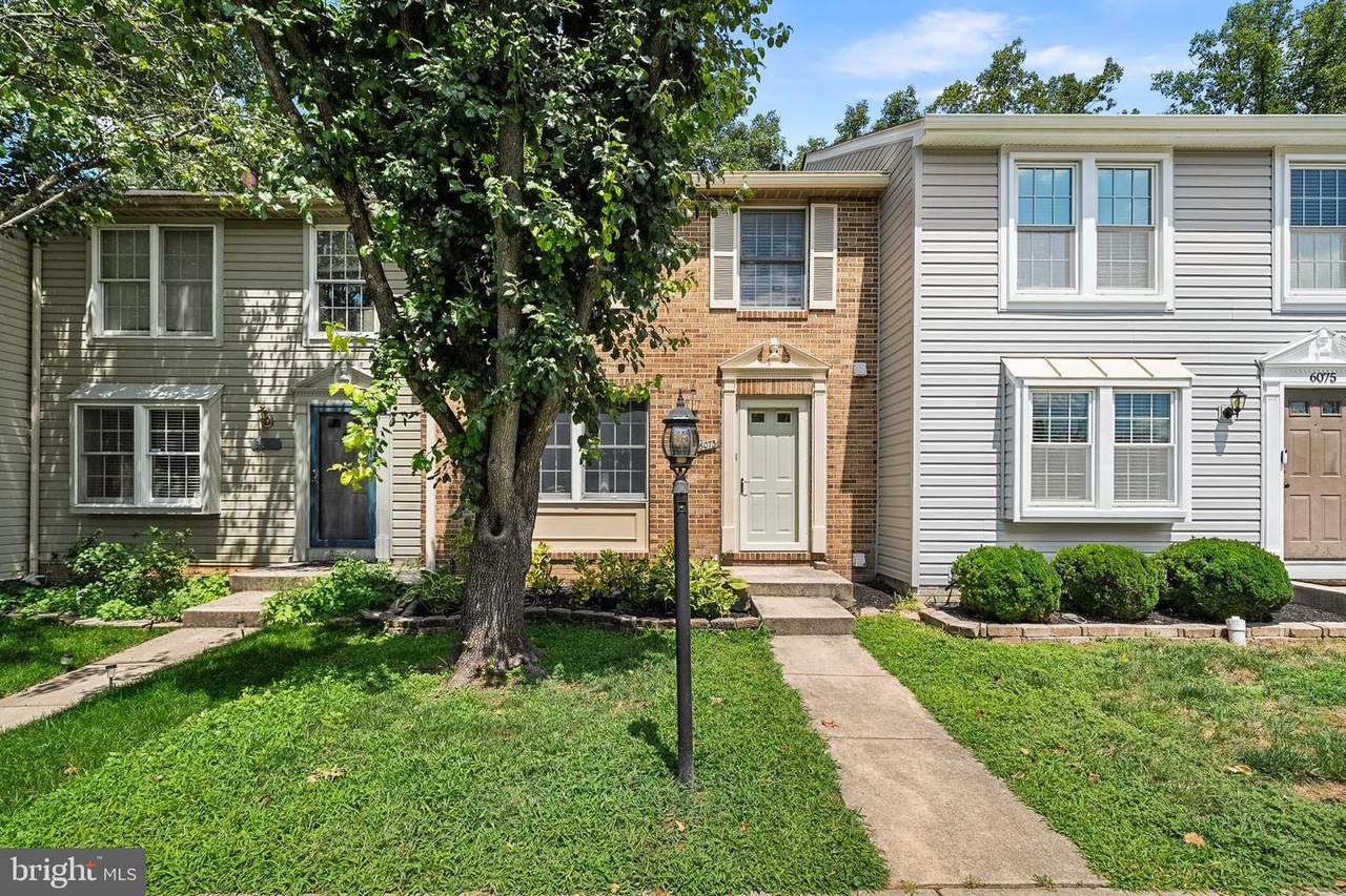 6073 Chicory Place - Photo 1