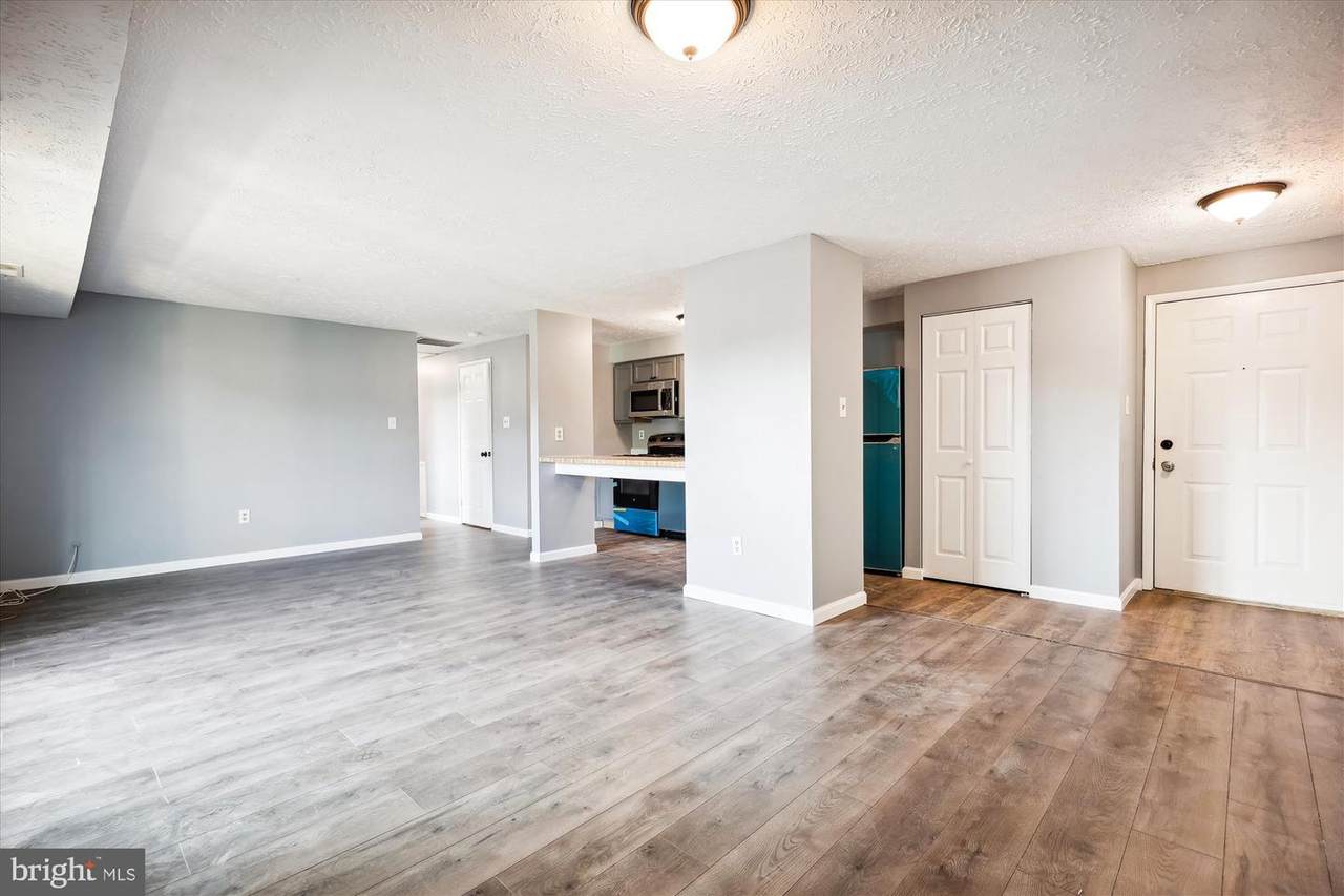 12405 Hickory Tree Way - Photo 1