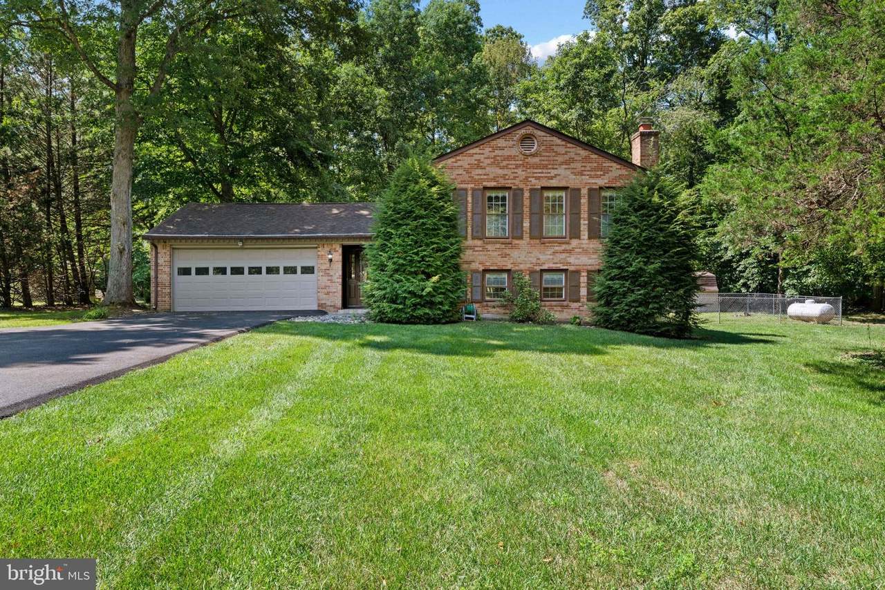 9242 Mimosa Drive - Photo 1