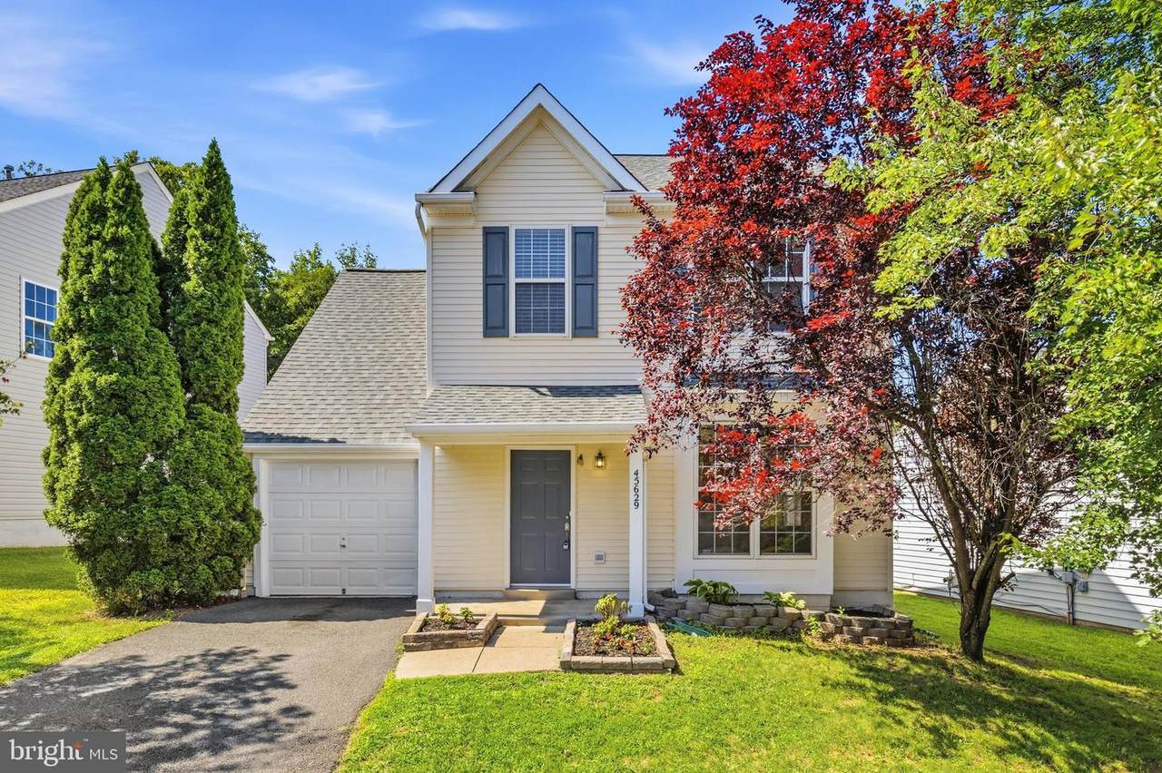 45629 Livingstone Station Street - Photo 1