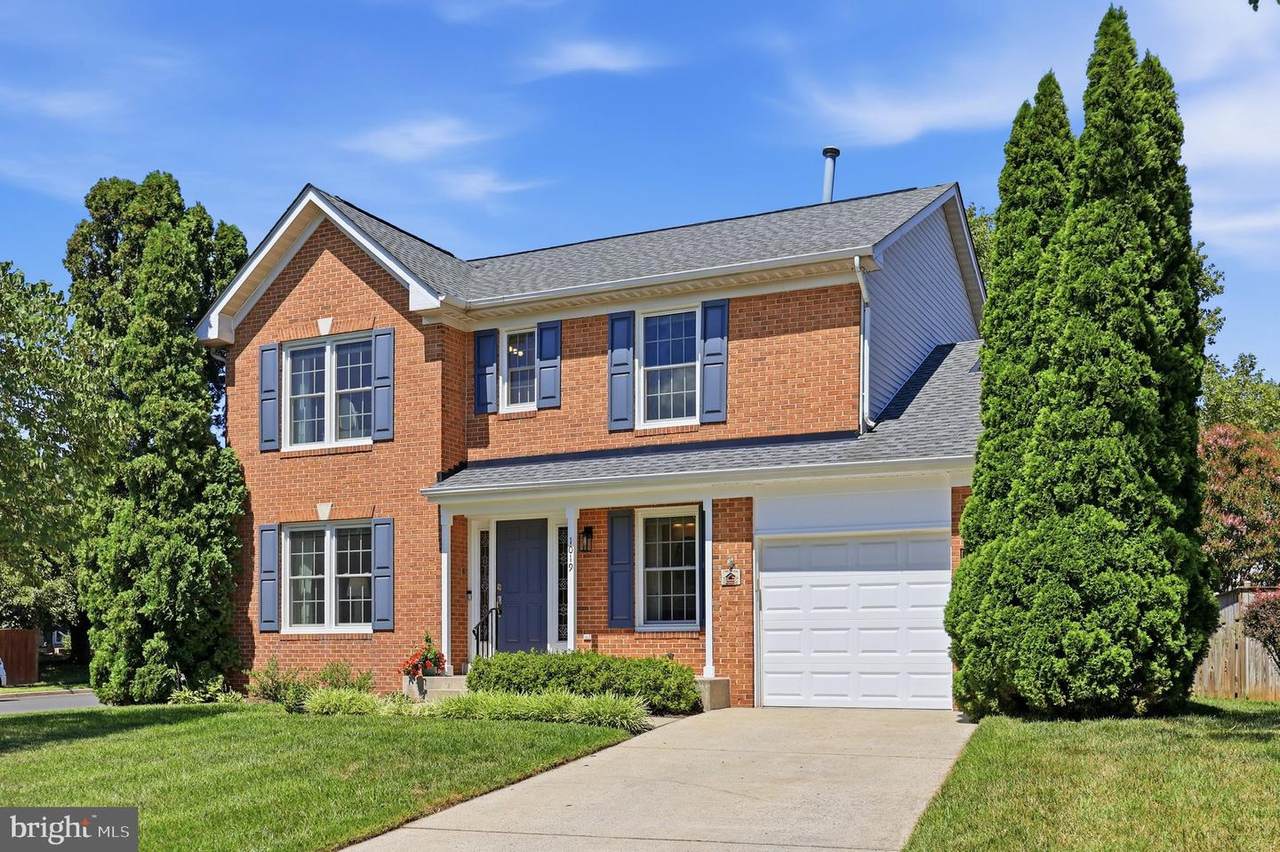 1019 Chinaberry Drive - Photo 1