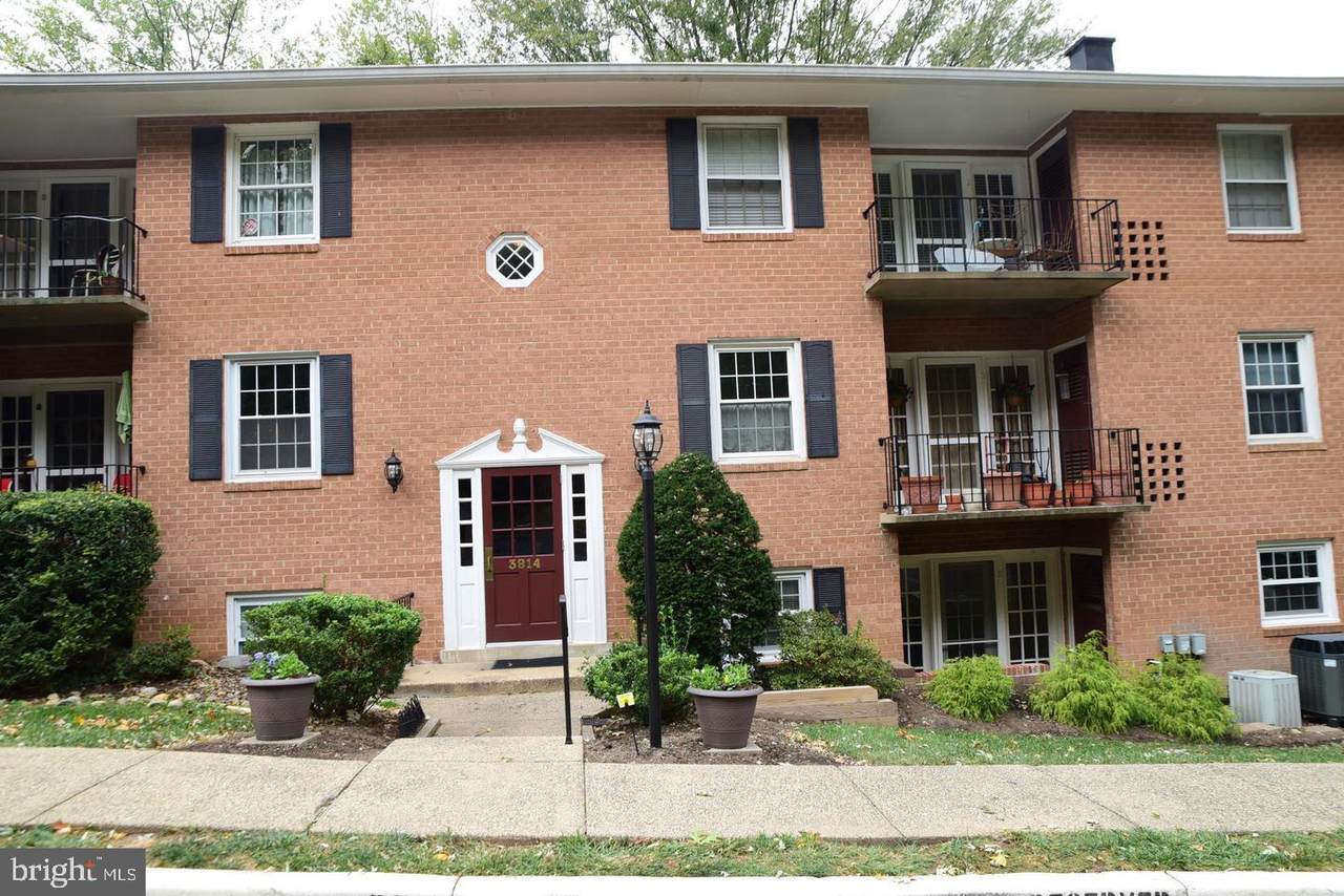 3814 Lyndhurst Drive - Photo 1