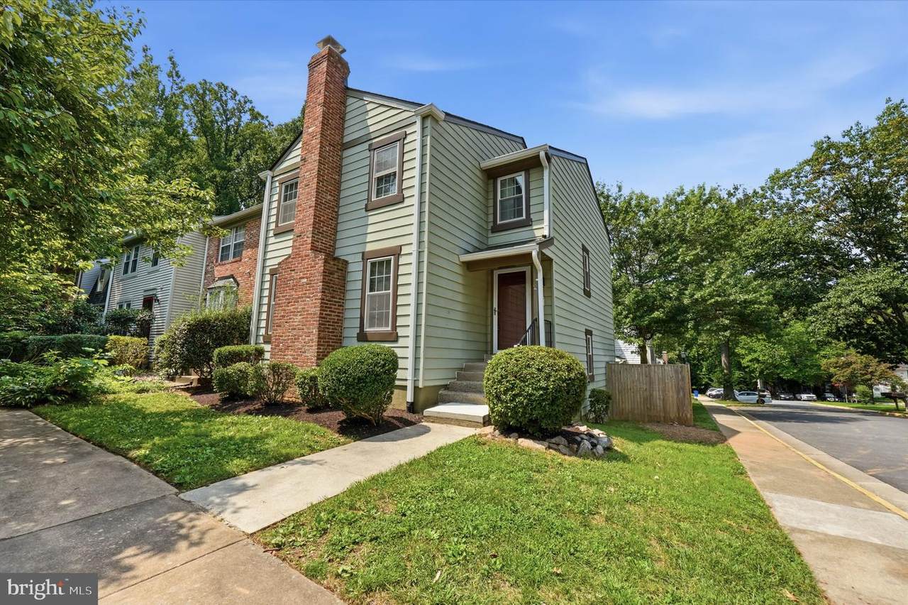 10065 Chestnut Wood Lane - Photo 1
