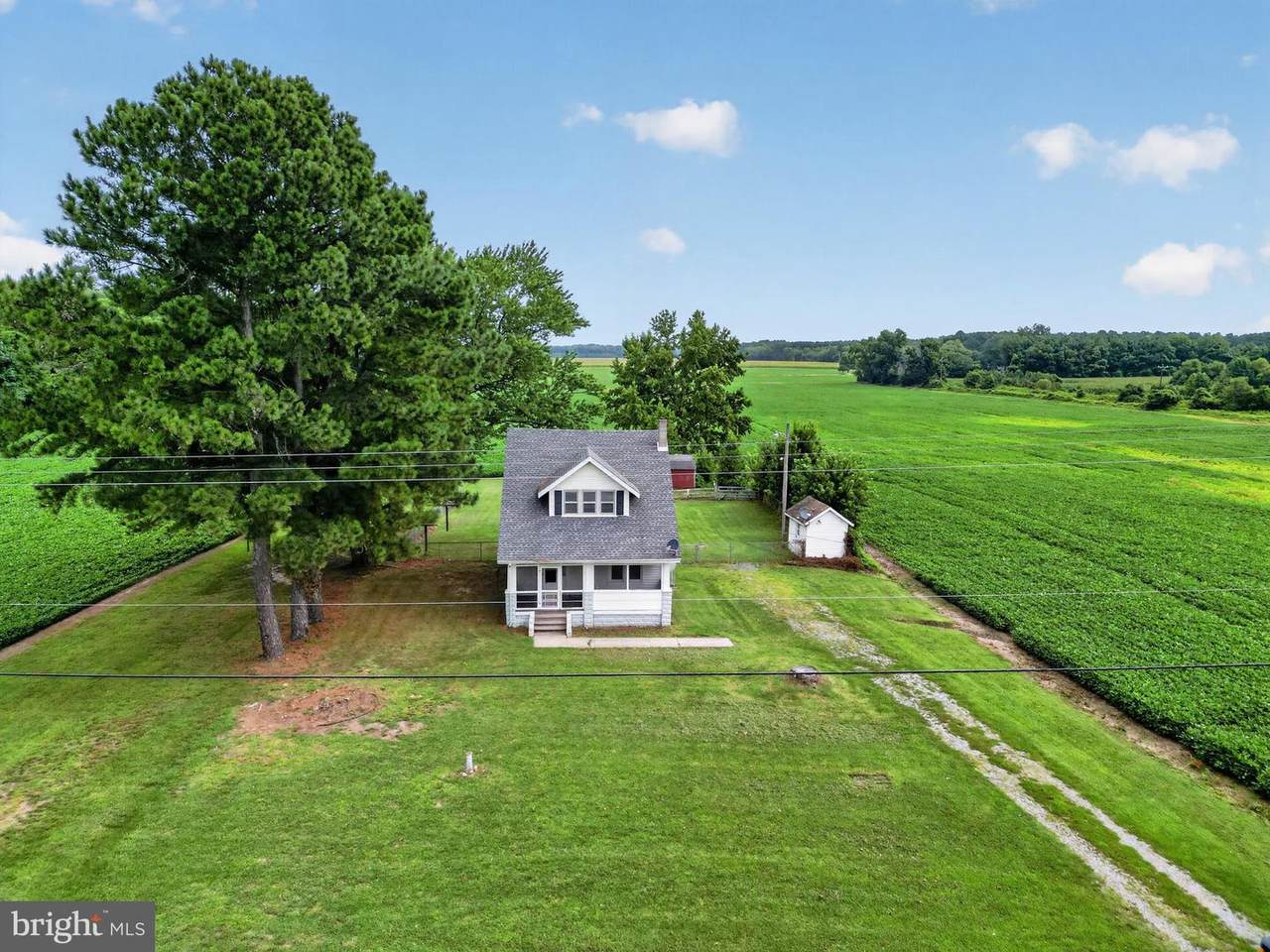 29728 Mount Vernon Road - Photo 1