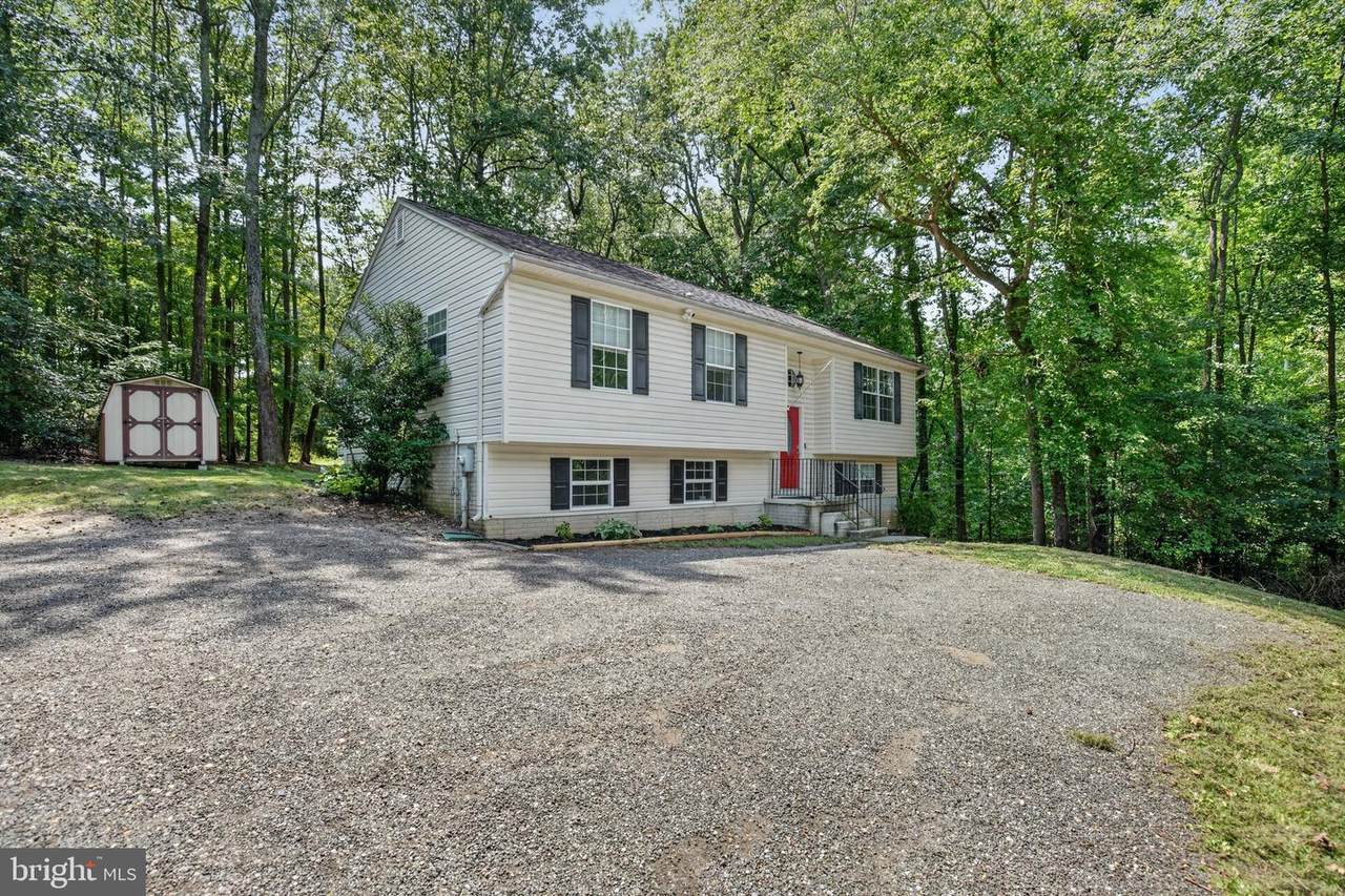 28041 Twila Lane - Photo 1