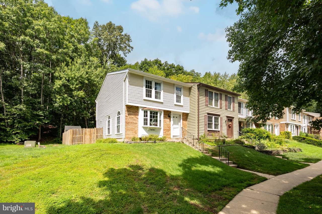 7428 Golden Horseshoe Court - Photo 1