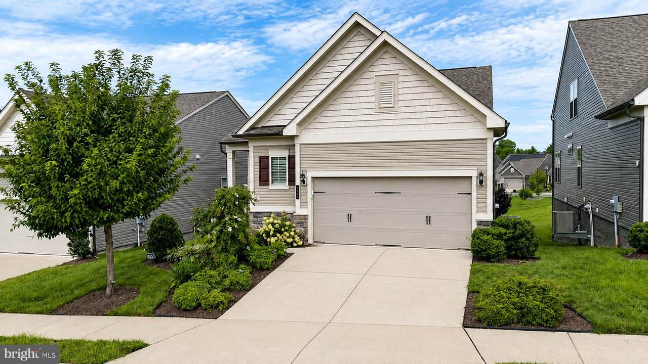 6840 Gerber Daisy Lane - Photo 1