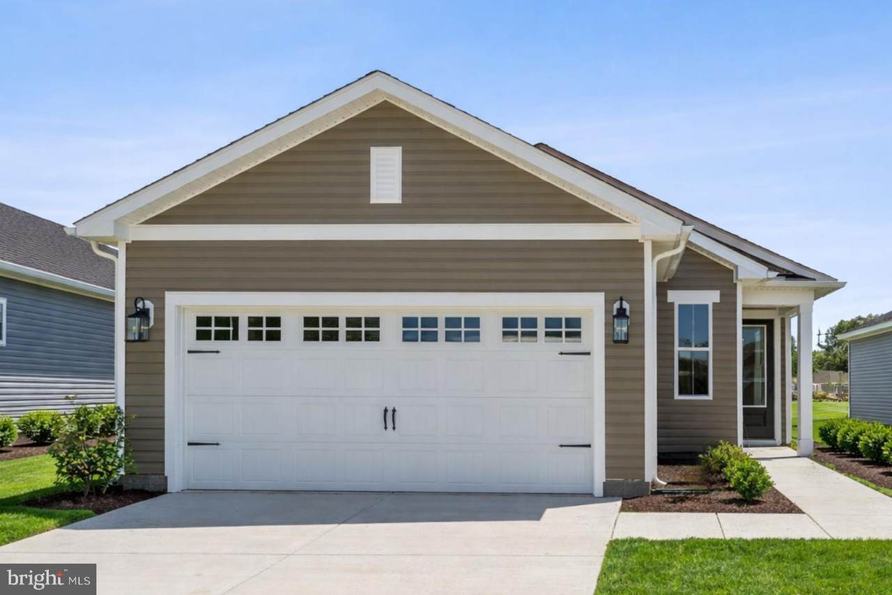29403 Jobes Street - Photo 1