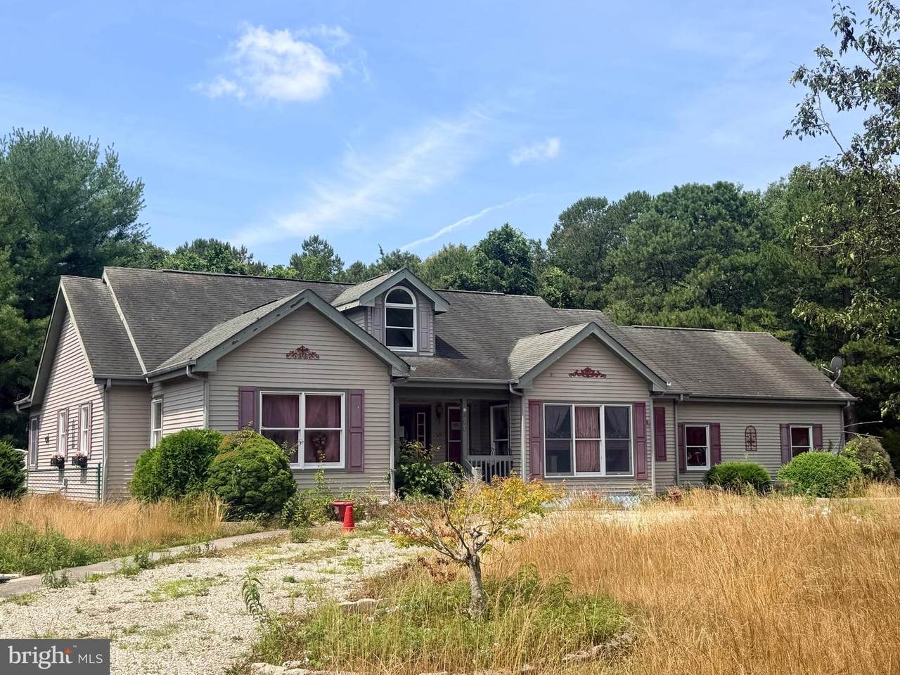 800 Blue Teal Drive - Photo 1
