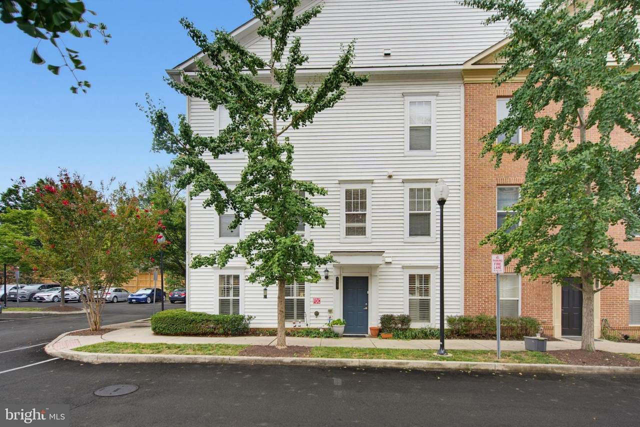 3927 Old Dominion Boulevard - Photo 1