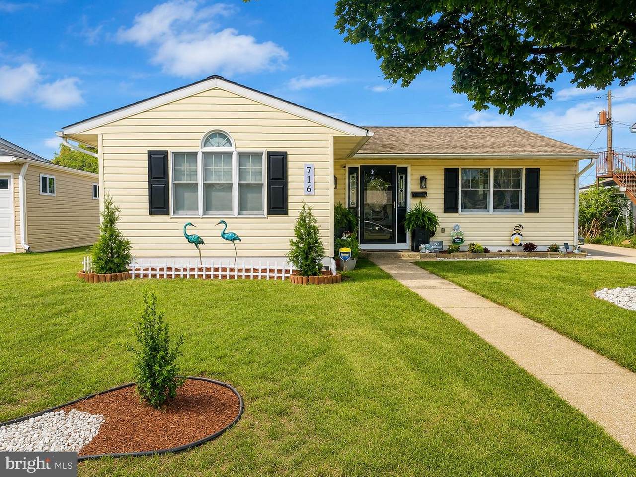 716 Hamlen Road - Photo 1