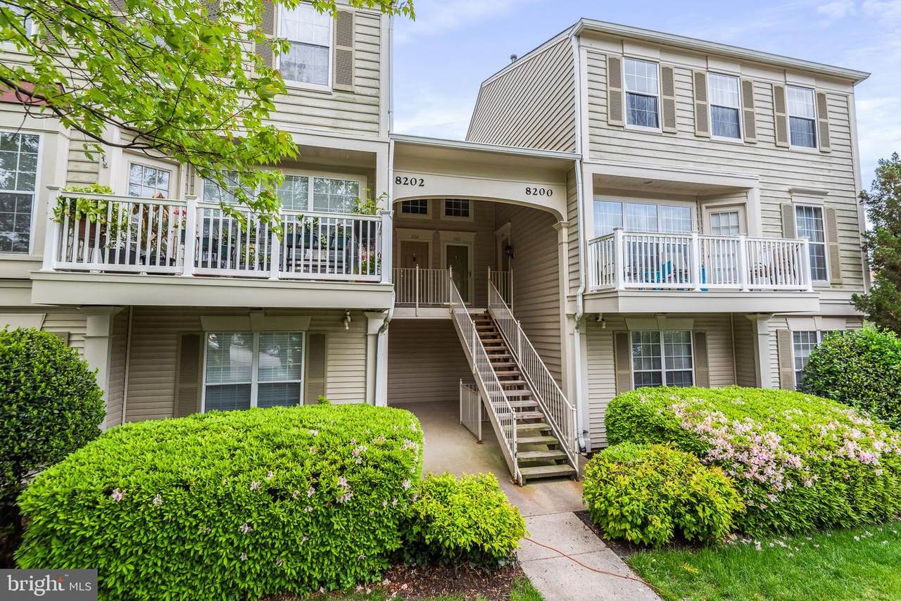 8202 Catbird Circle - Photo 1