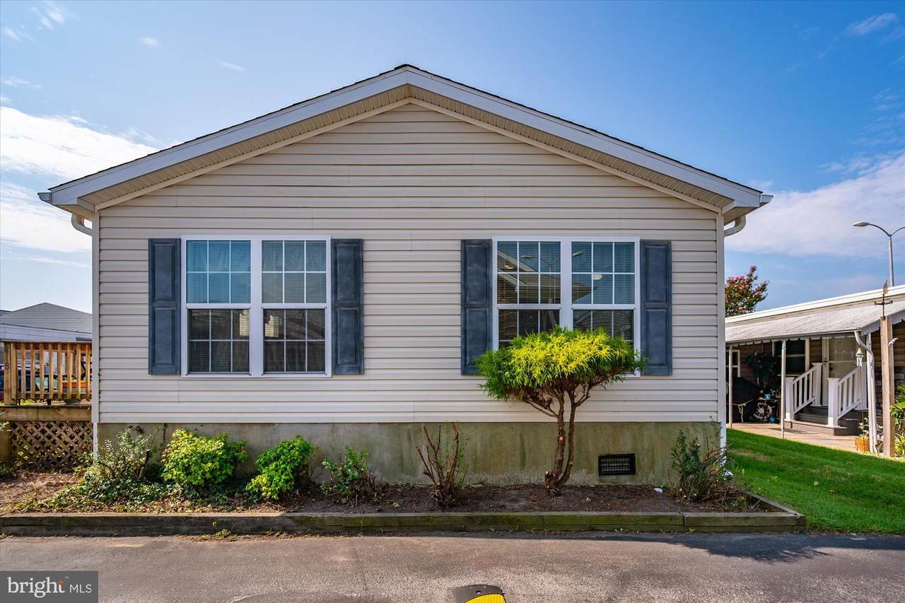 239 Mallard Lane - Photo 1