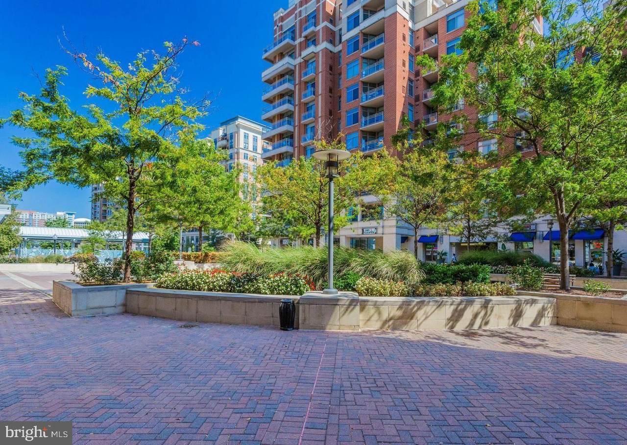 3650 Glebe Road - Photo 1