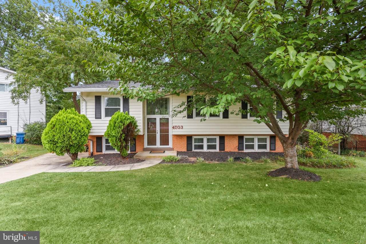 4703 Tara Drive - Photo 1