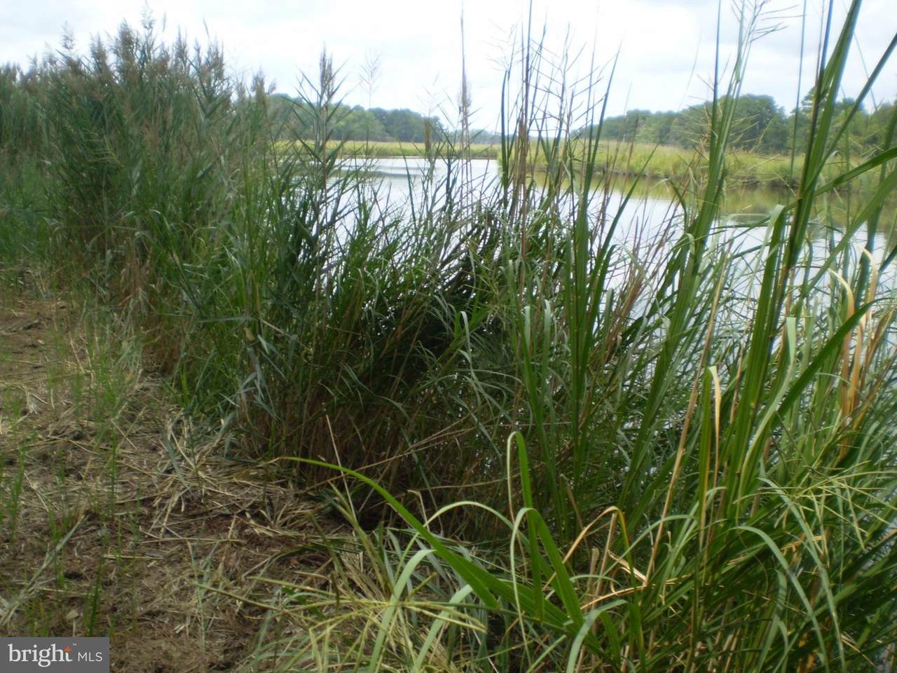 0 Stewart Neck Road - Photo 1