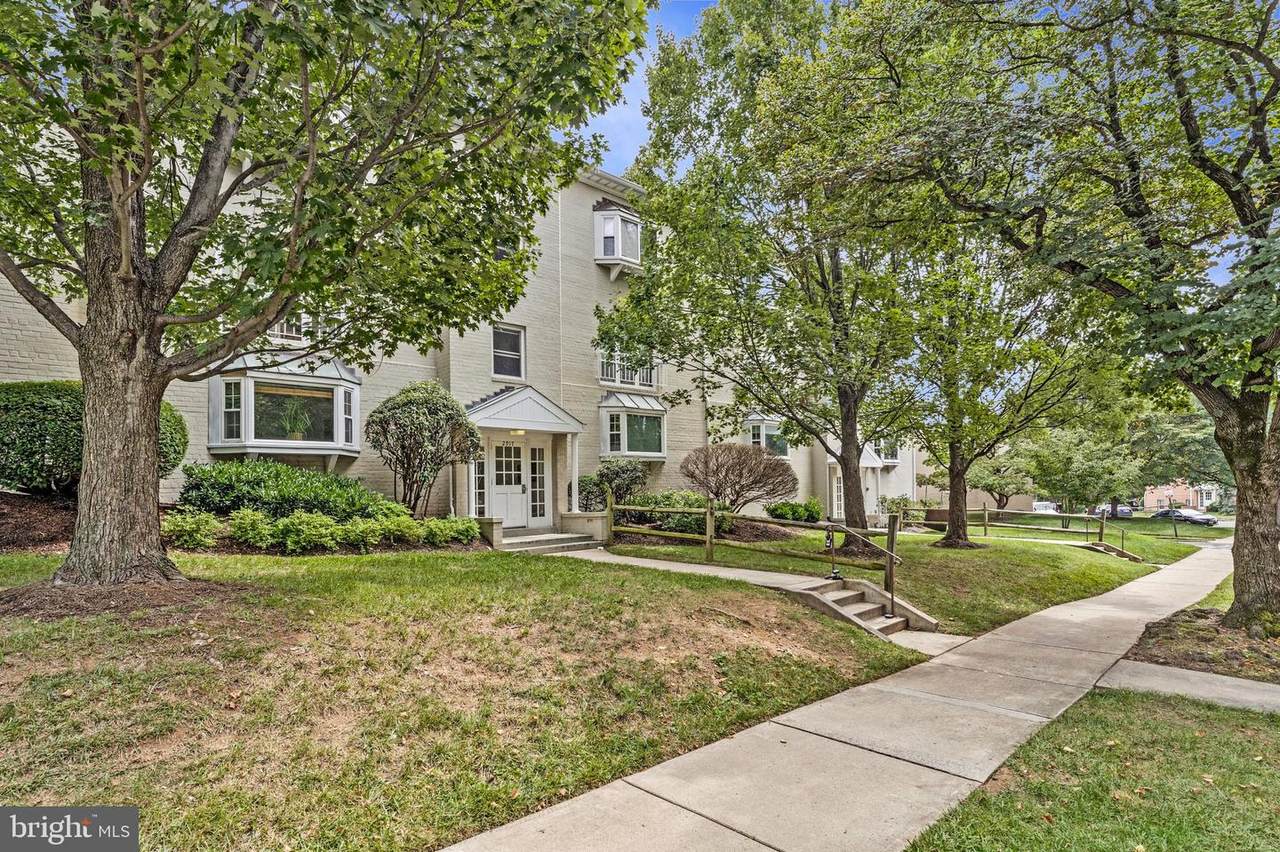 2917 Willston Place - Photo 1