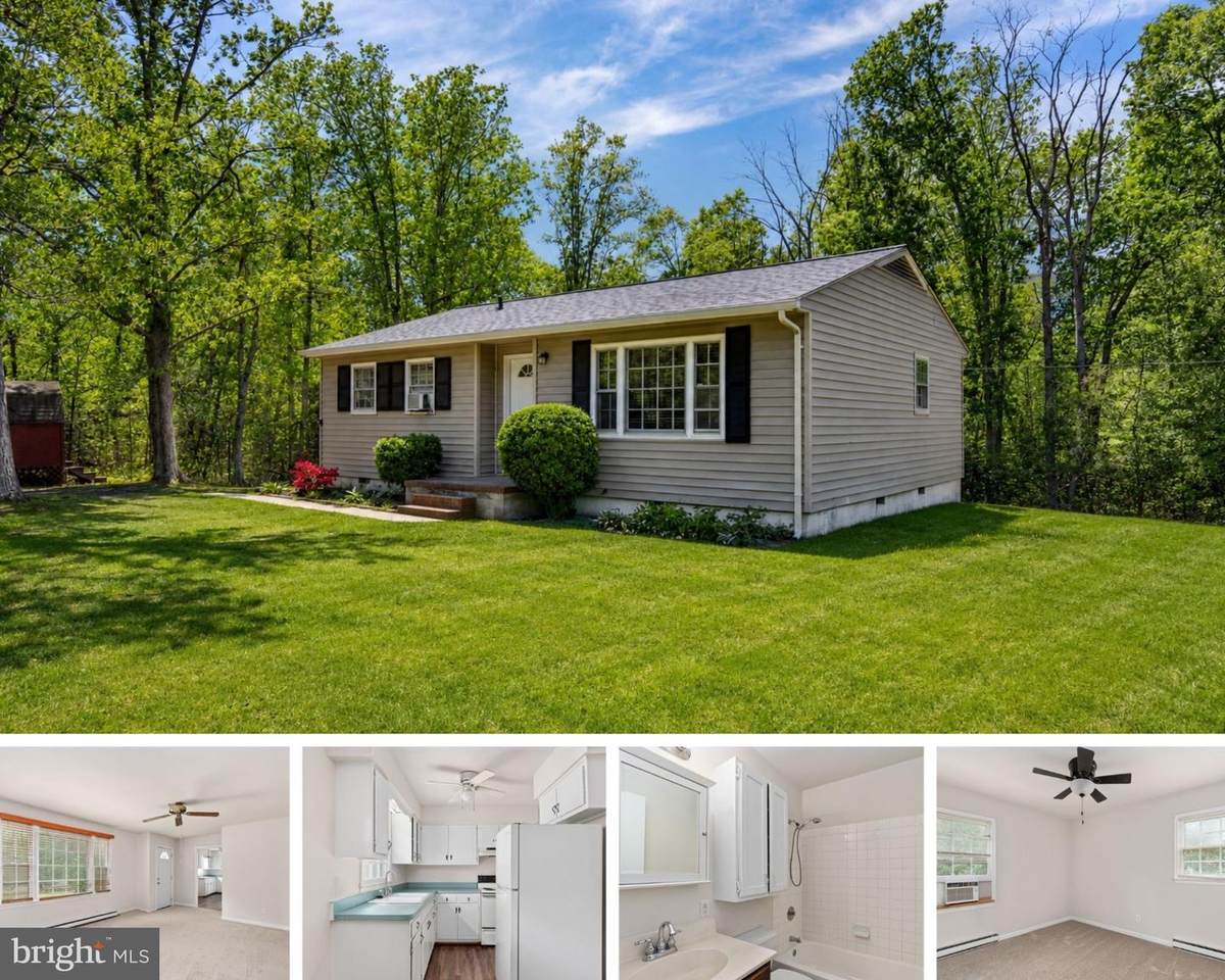 14208 Springfield Lane - Photo 1