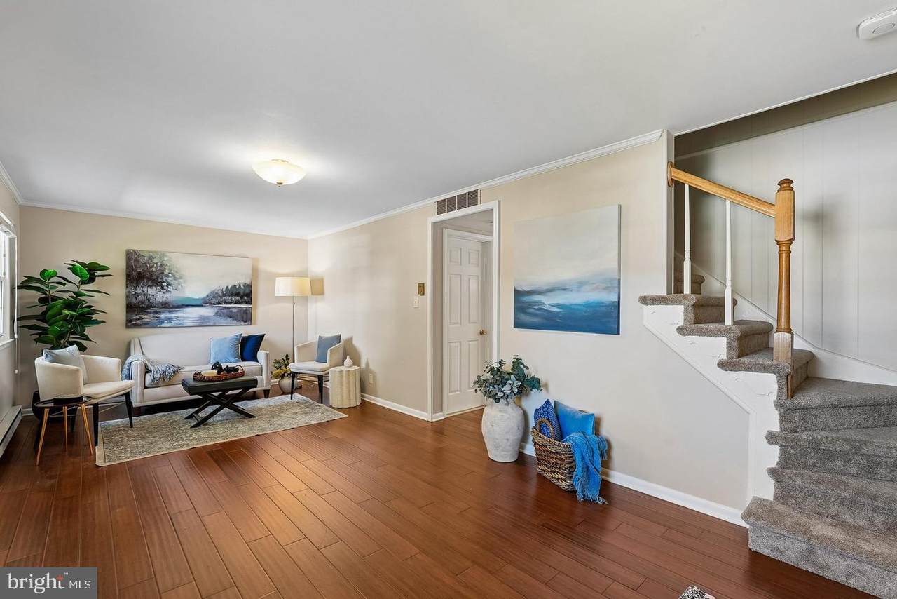 204 Shenandoah Street - Photo 1