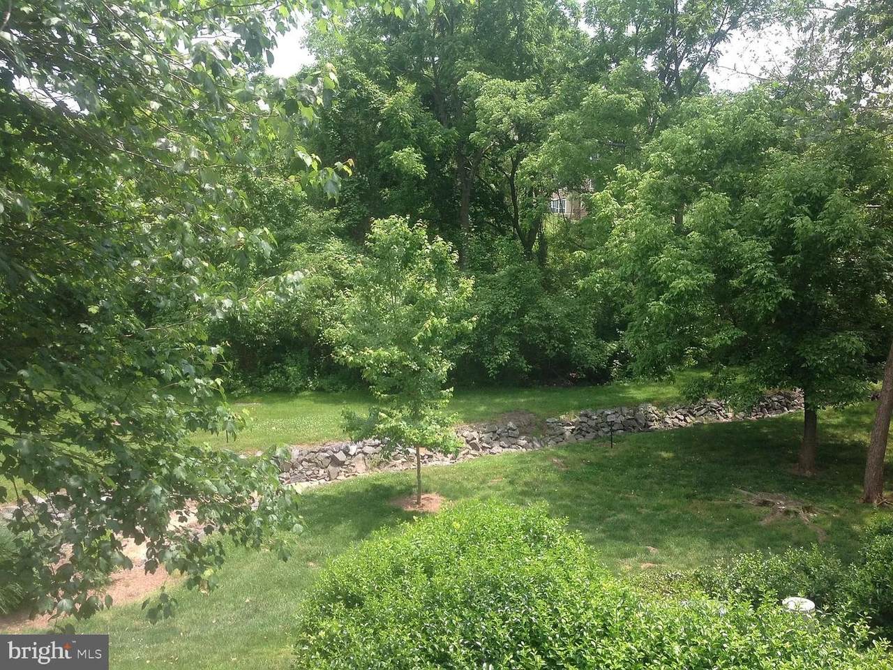 14321 Climbing Rose Way - Photo 1