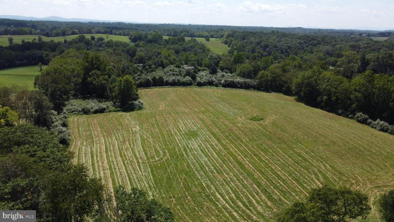 20280 Shelburne Glebe Road - Photo 1
