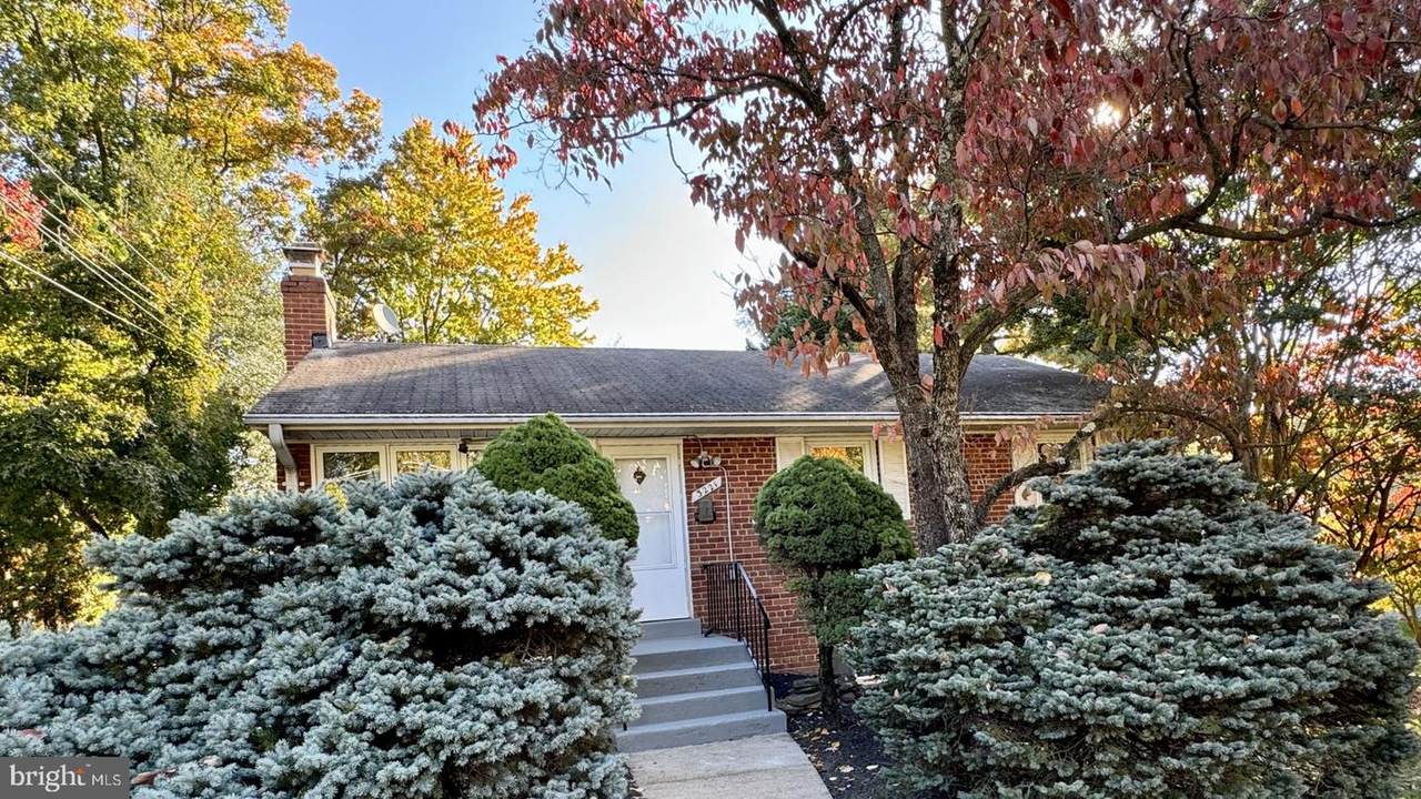 3221 Holly Hill Drive - Photo 1