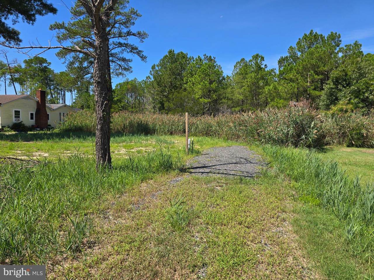 0 Lawsonia - Photo 1