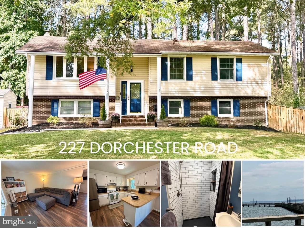 227 Dorchester Road - Photo 1