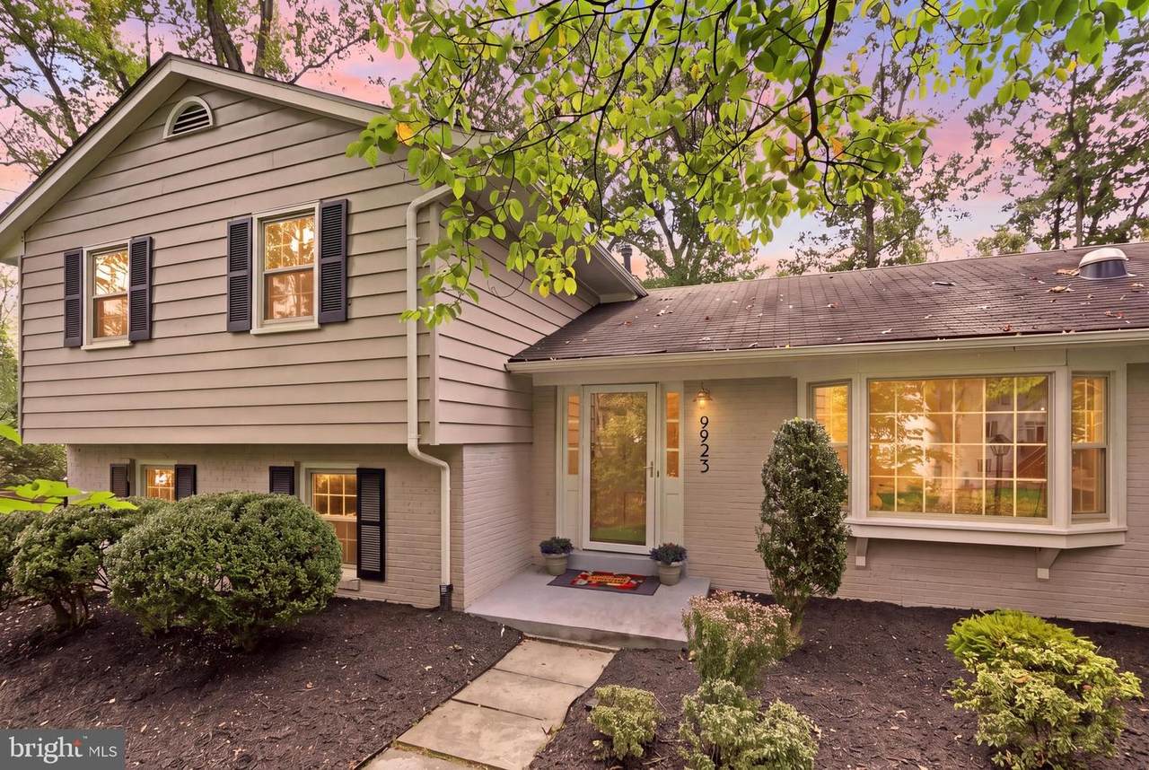 9923 Corsica Street - Photo 1