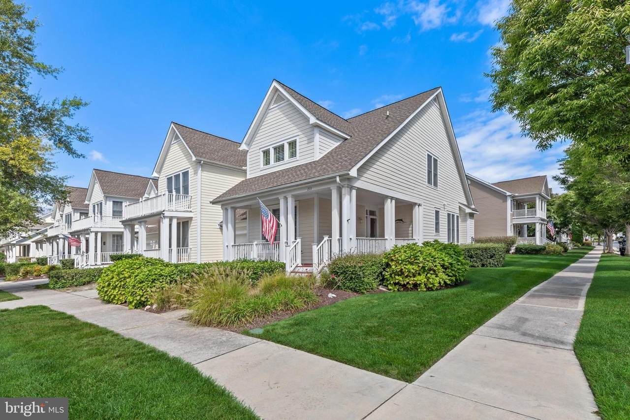 213 Willow Oak Avenue - Photo 1