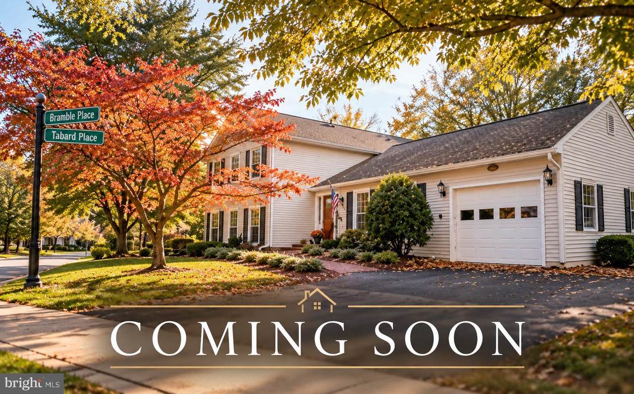 9101 Bramble Place - Photo 1