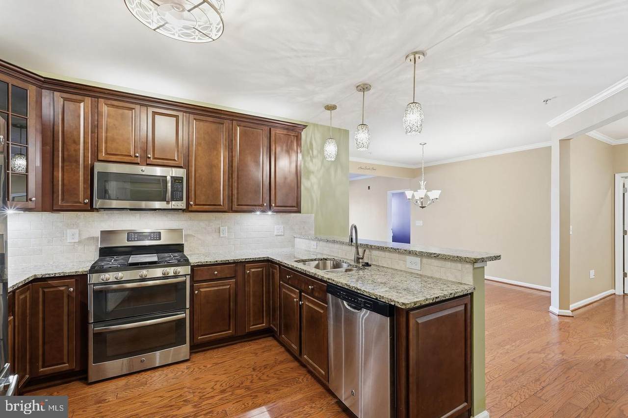 24637 Woolly Mammoth Terrace - Photo 1