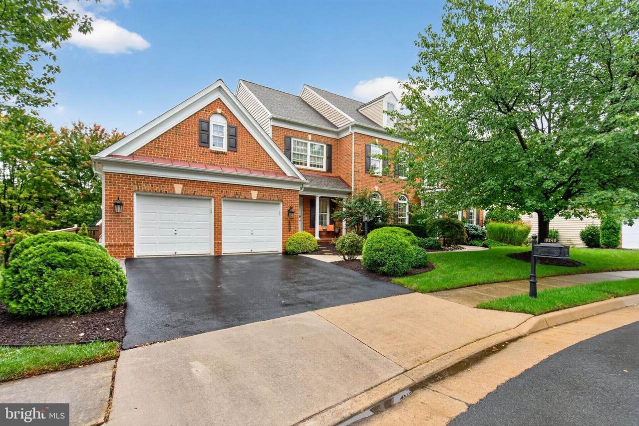 8248 Native Violet Drive - Photo 1