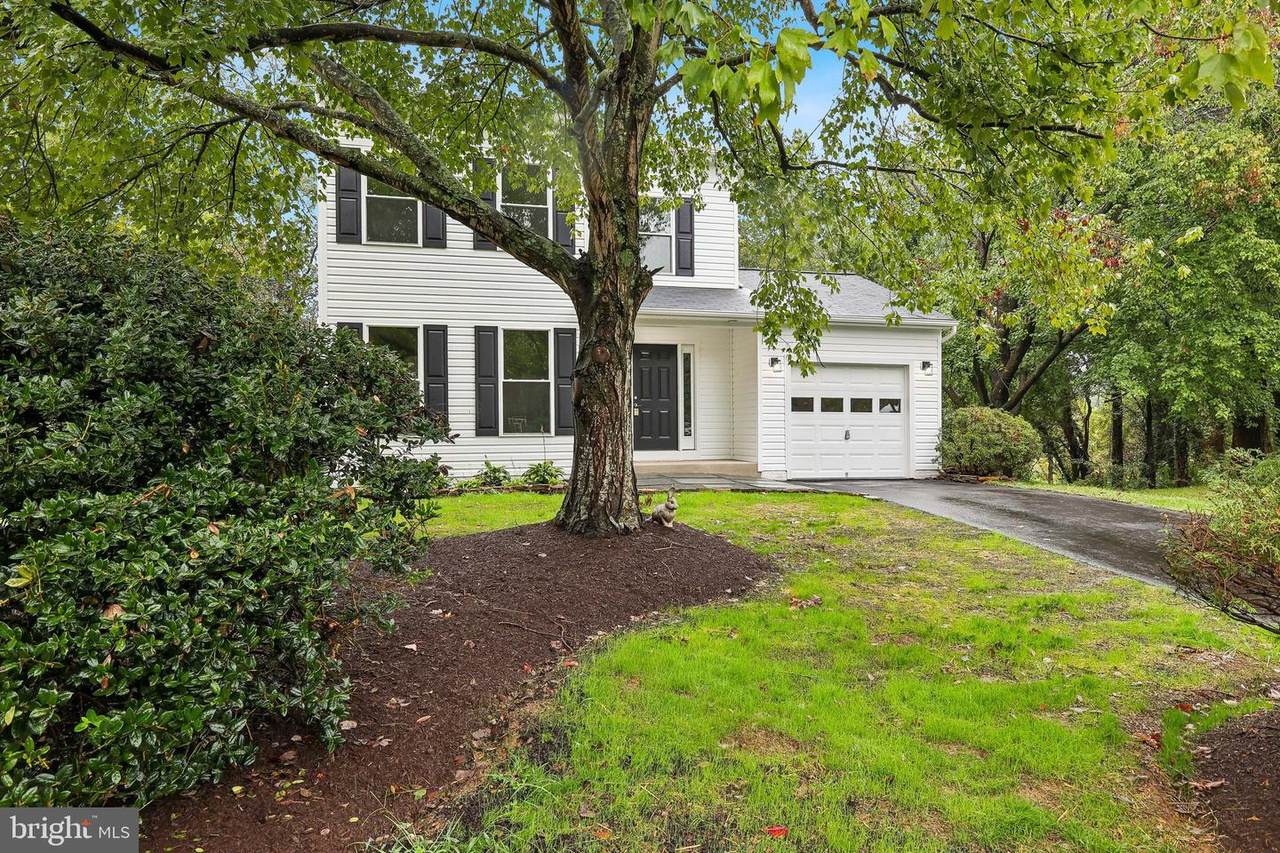 13905 Shadow Fox Court - Photo 1