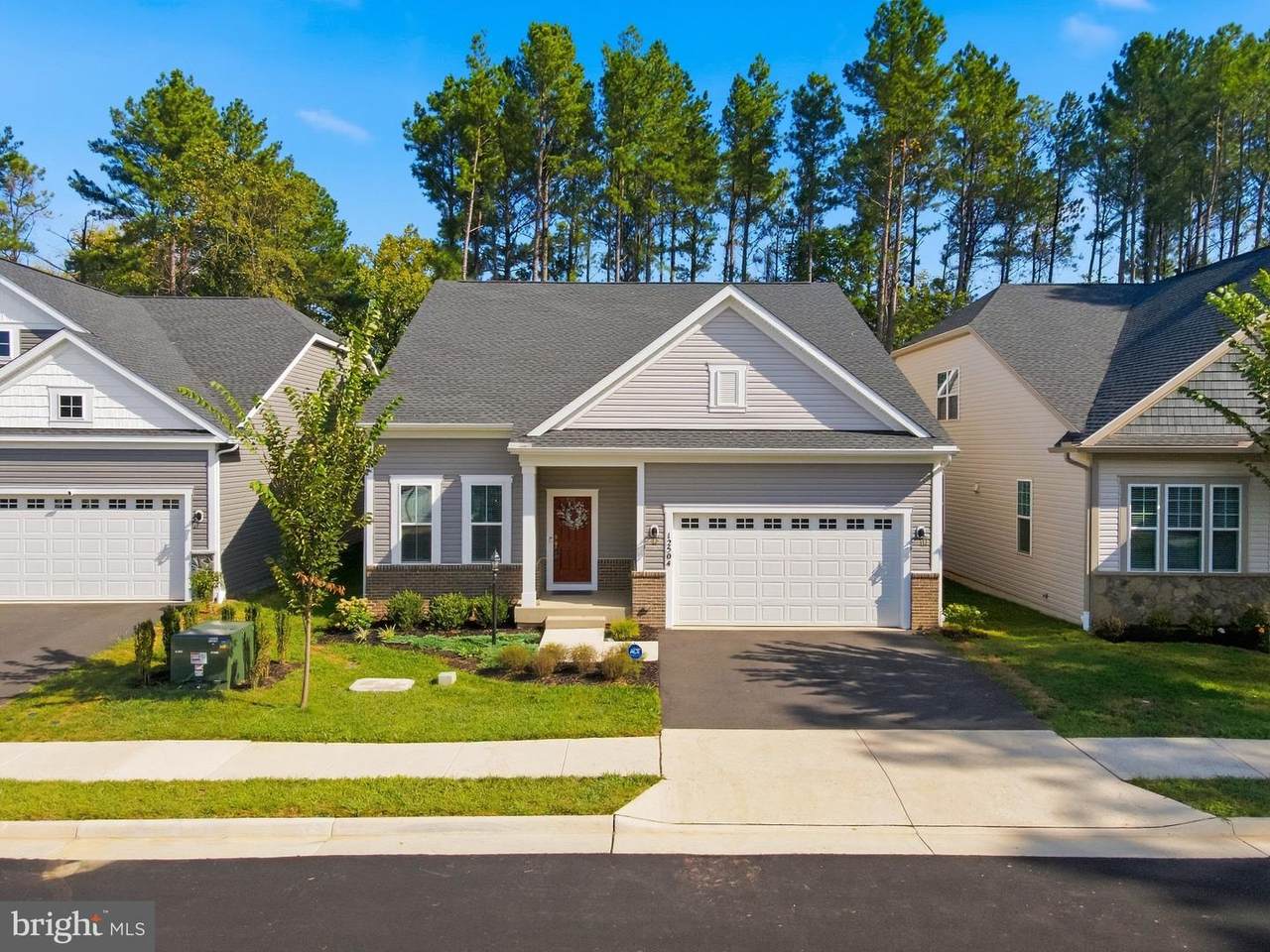12504 Cavalier Forest Court - Photo 1