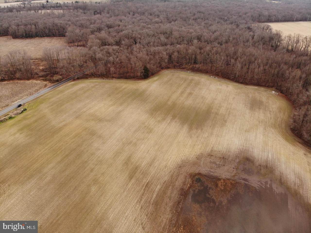 89 Pennsville Auburn Rd & Stumpy Lane - Photo 1