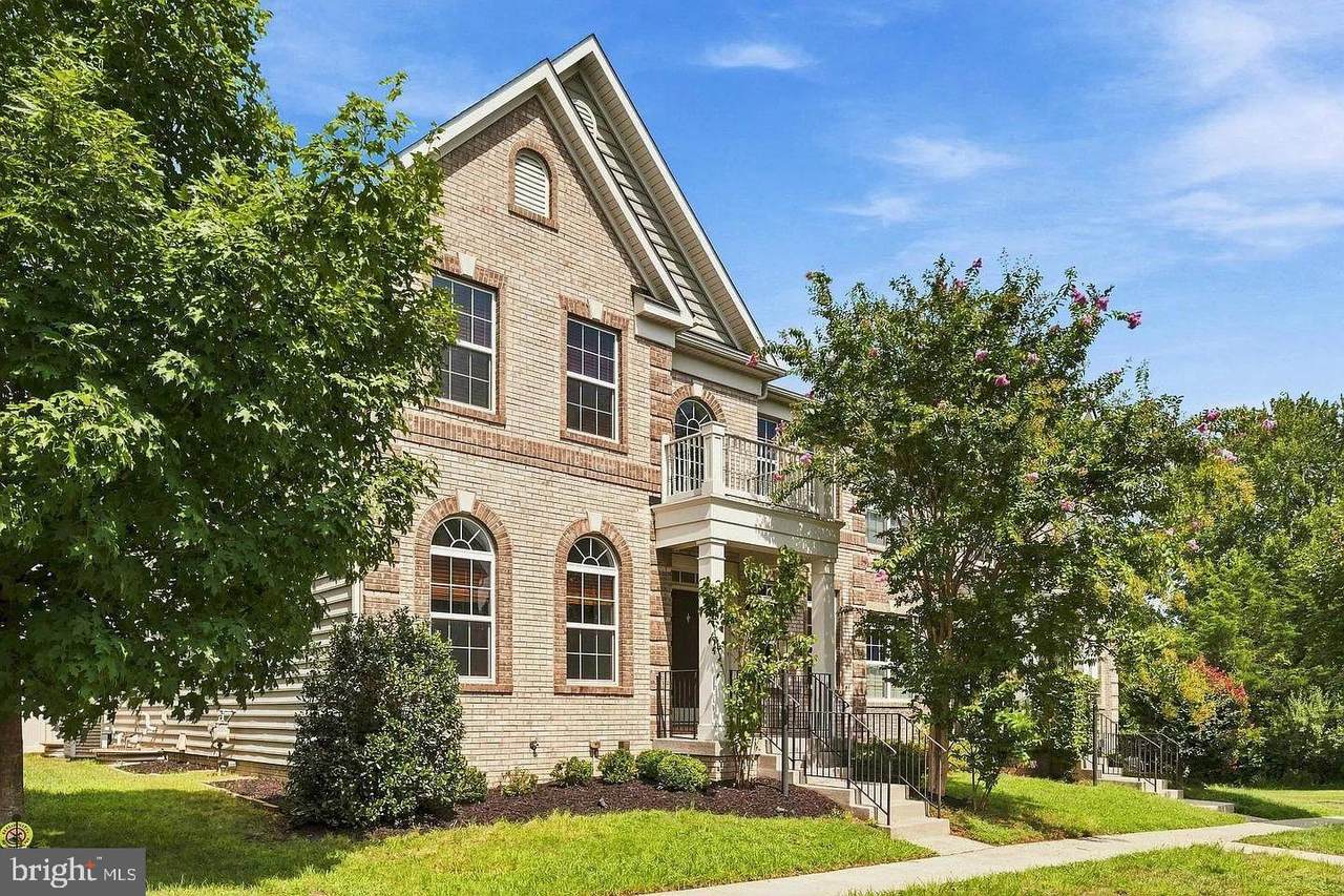 41716 Deer Grass Terrace - Photo 1