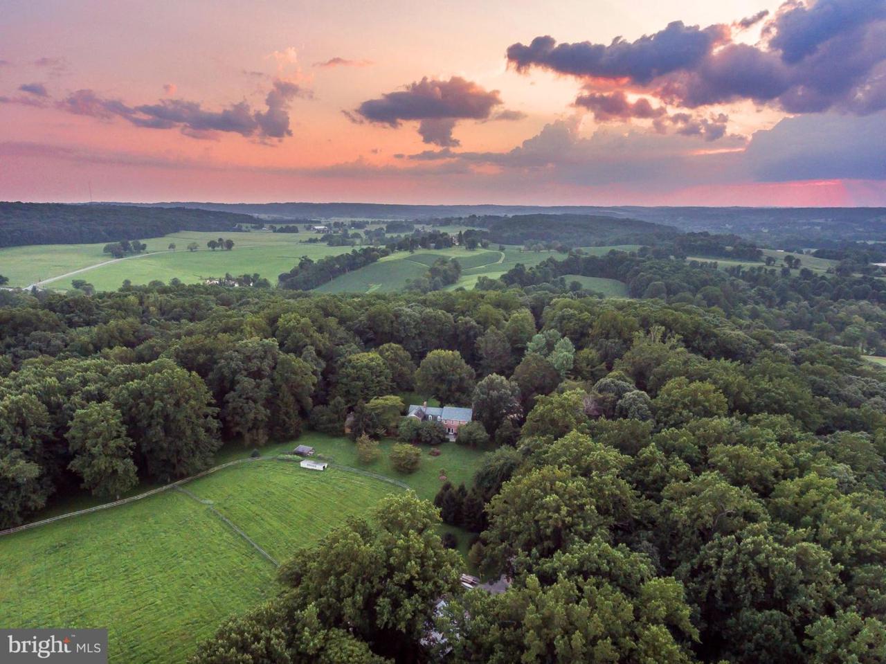 13705 Mantua Mill Road - Photo 1