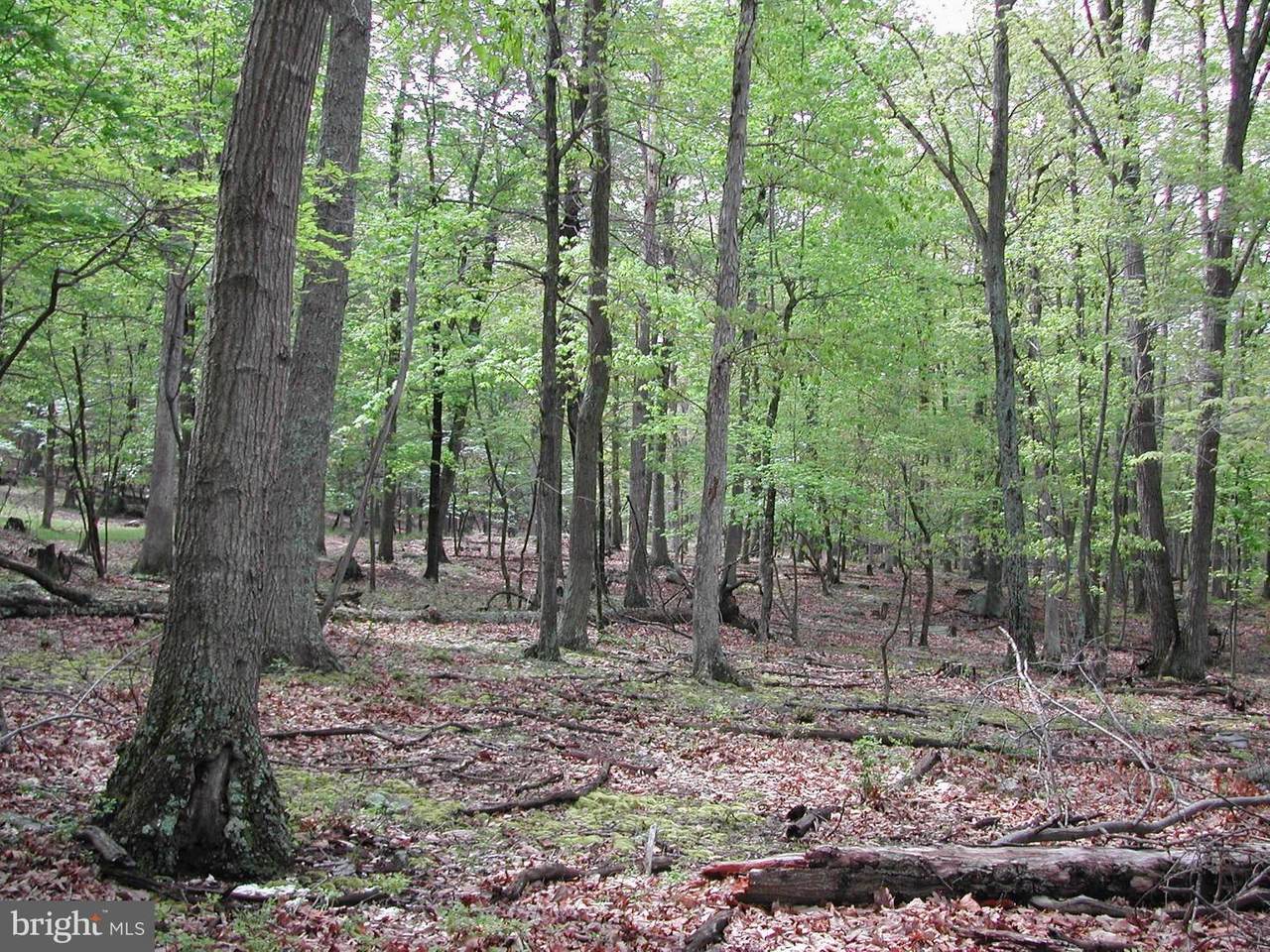 LOT # 18 Quaker Cemetery Road - Photo 1
