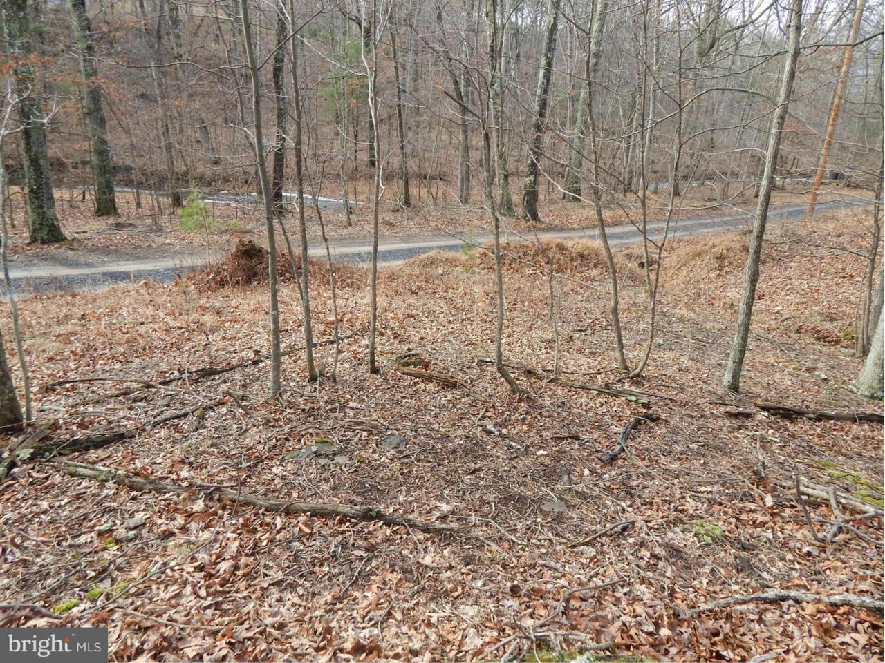 Circling Hawk Lane - Photo 1