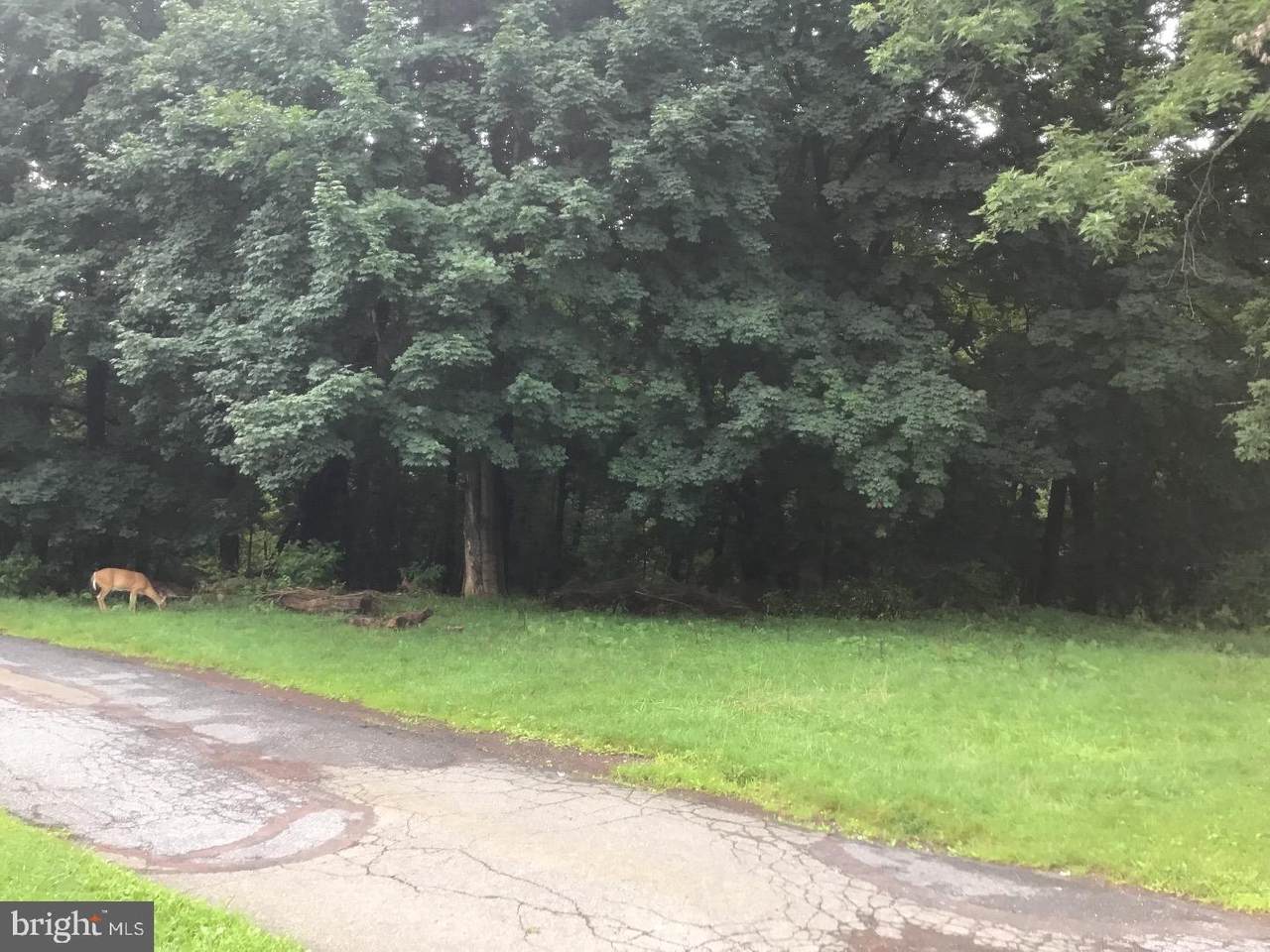 0 Dean Gray Lane - Photo 1