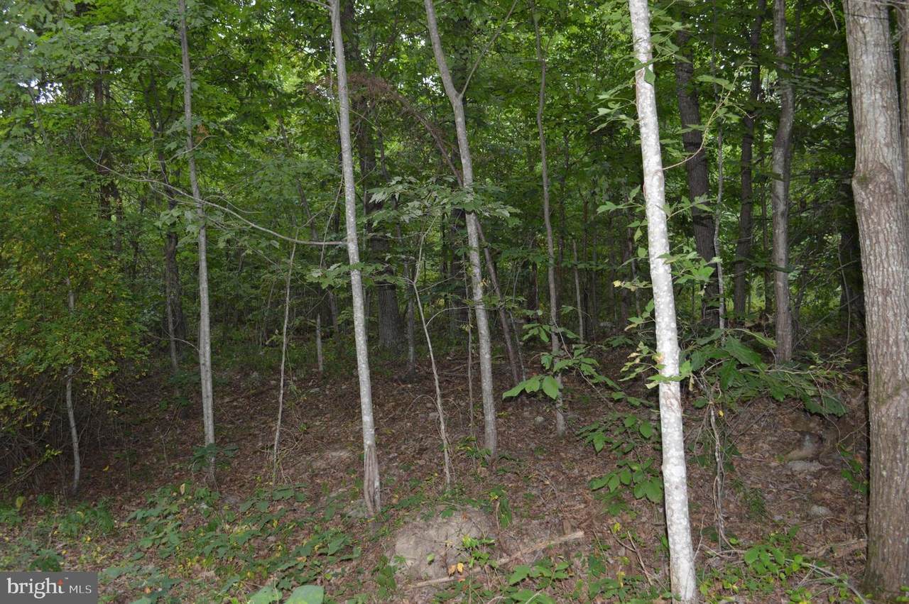 Brushleaf-Lot 9 - Photo 1 Brushleaf-Lot 9 - Photo 1