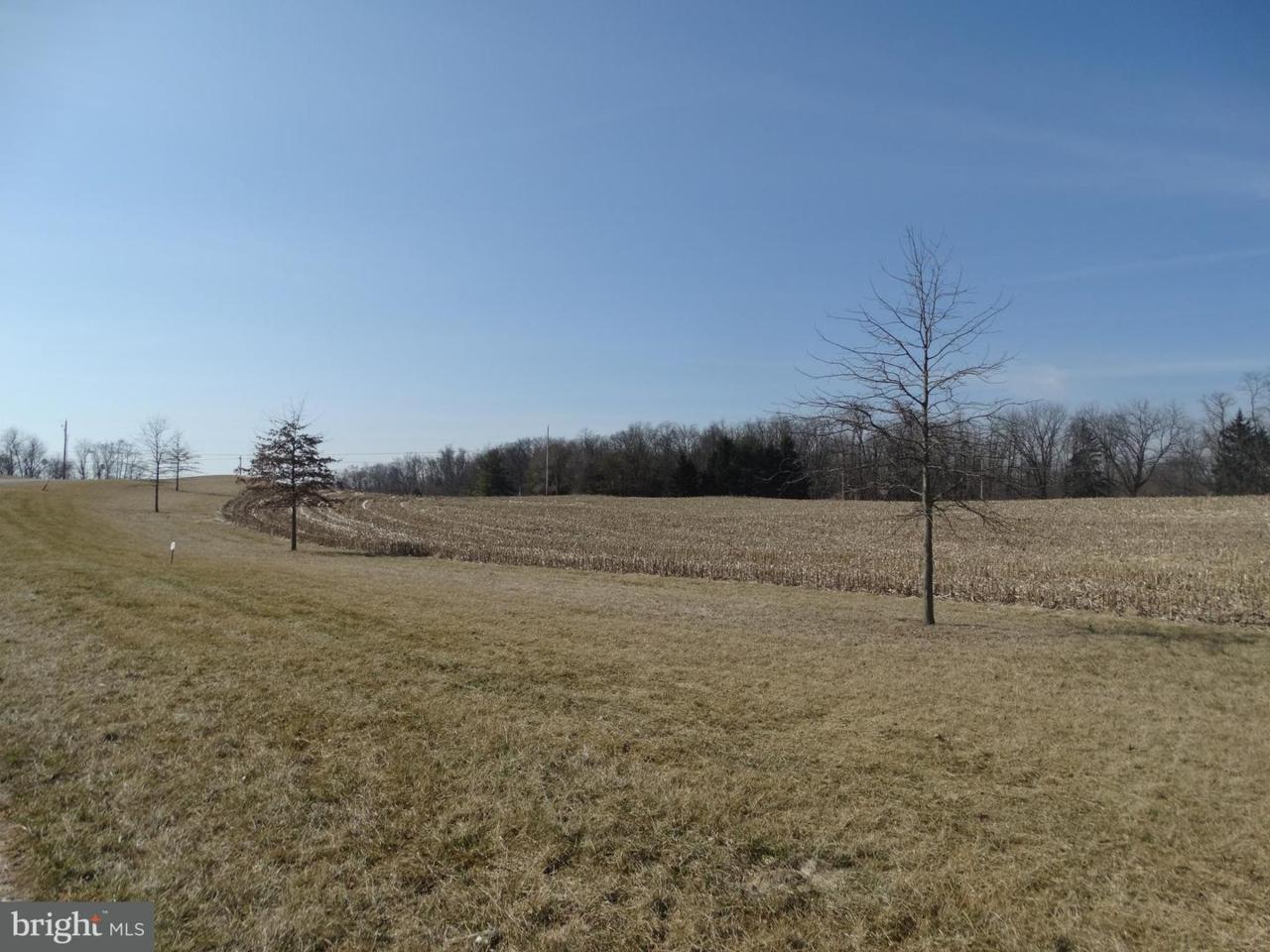 LOT 2 Peyton Drive - Photo 1