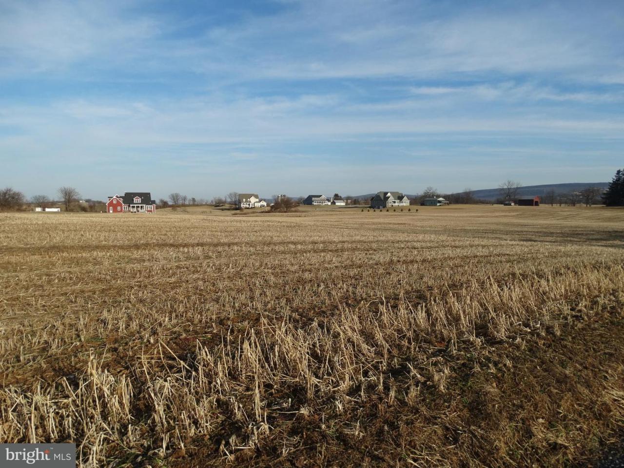 Lot 27 Dickinson School Road - Photo 1
