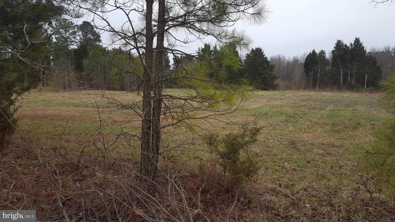 Willows Road - Photo 1