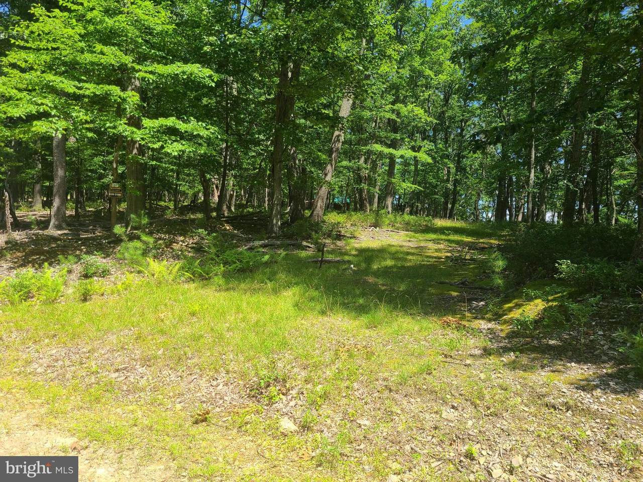 2 Off Route 220 High Knob Road - Photo 1