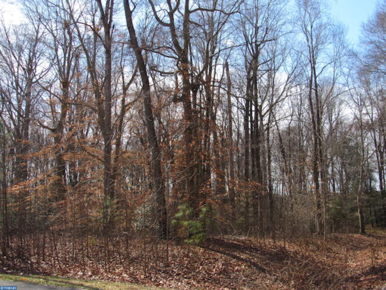 94 Beaver Pond Circle - Photo 1