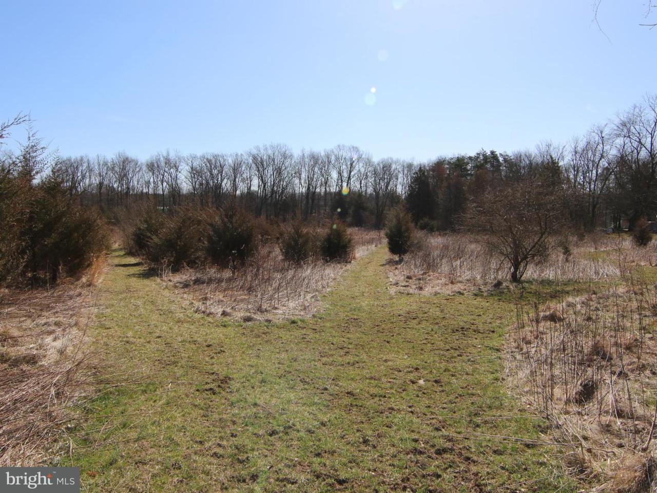 825 Locust Grove Road - Photo 1