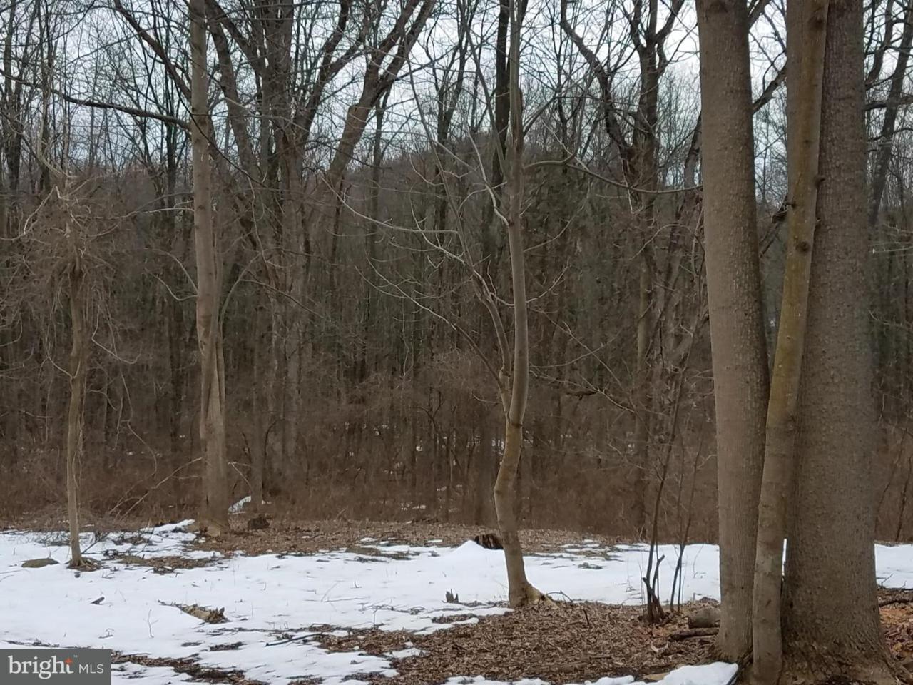 0 Schoolhouse Road - Photo 1